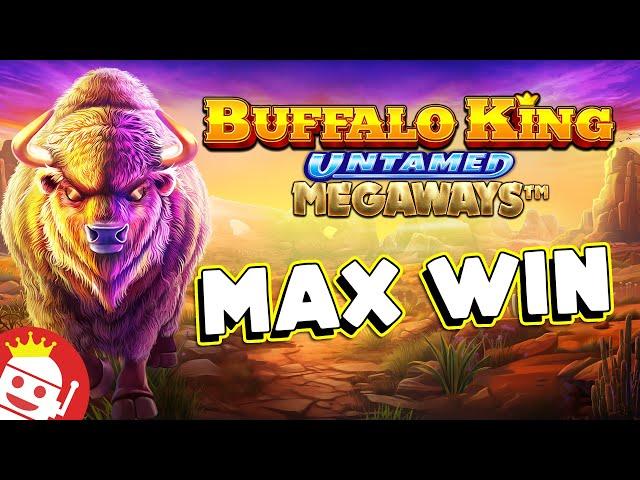  BUFFALO KING UNTAMED MEGAWAYS (PRAGMATIC PLAY) MAX WIN HIT!