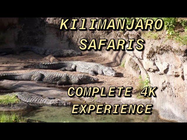 Kilimanjaro Safaris Disney's Animal Kingdom Complete 4K Ride Experience 2020 Walt Disney World