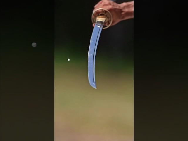 Can you Slice a bullet with a katana for $20k?? (thought impossible )#mrbeast #mrbeasthindi