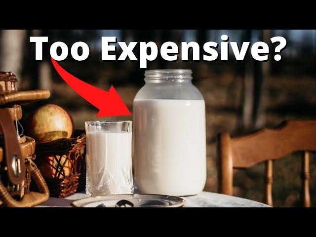 What Is a Fair Price for Raw Milk? Everything You Need to Know