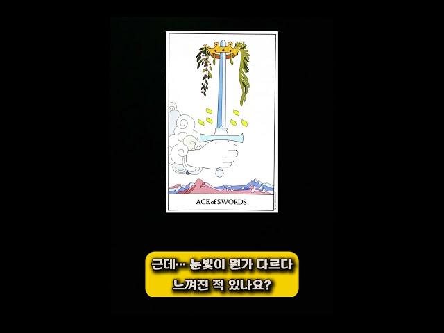 우리 강아지, 지금 나한테 하고 싶은 말이 있다고요? | 반려견 타로 리딩