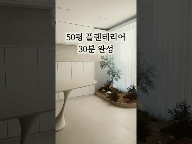 50평 플랜테리어 30분 완성 #플랜테리어