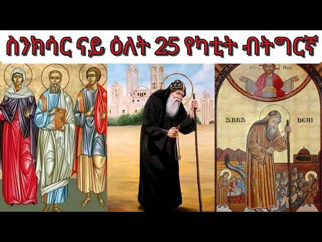 #ስንክሳር ናይ ዕለት 25 የካቲት ብትግርኛ #እንጦንዮስ ሓዲስ  ሰማዕት #ረውሕ #ኣቡፋና #ኣውሳብዮስ ፊሊሞና ወሉስያ ሰማዕታት #ቶና ዲያቆን #ሚናስ