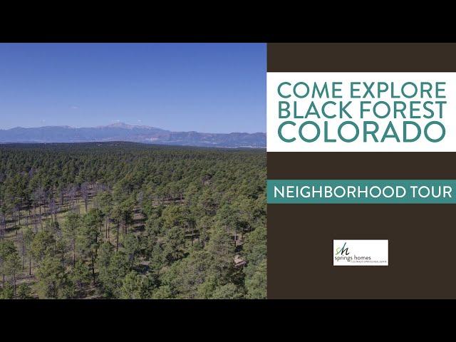 Take a Tour of Black Forest Colorado