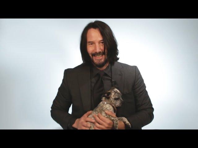 Keanu Reeves Plays With Puppies While Answering Fan Questions