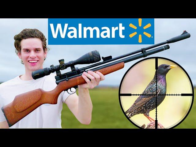 Hunting with Walmart's CHEAPEST PCP Air Rifle!!!