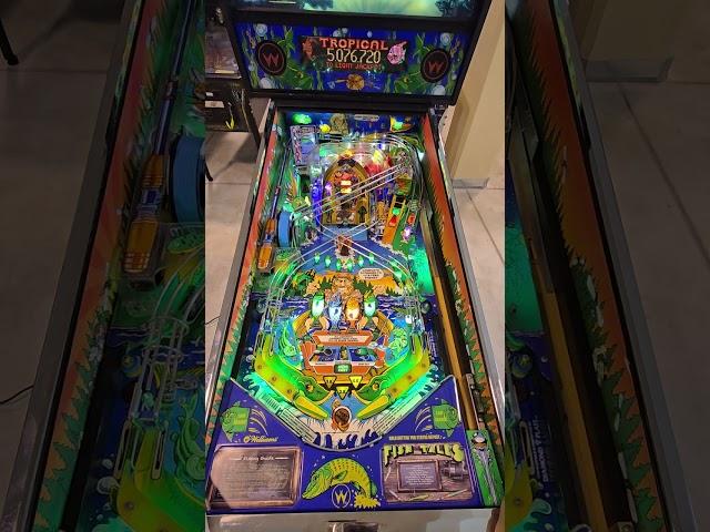 For sale/A vendre FLIPPER PINBALL MACHINE FISH TALES BALLY WILLIAMS REVIEW CRITIQUE