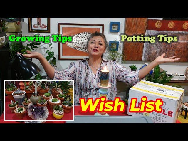 UNBOXING Birthday Wish SUCCULENT Plant Haul | CACTUS CATHY