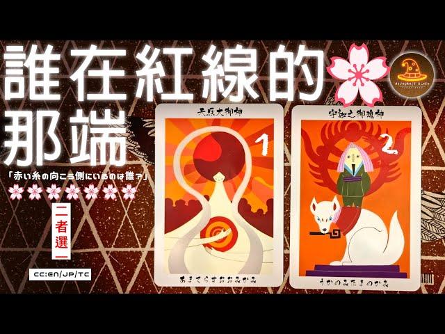 誰在紅線的那端️愛情占卜2選1⌛適用任何時間CC(Sub)EN/JP/TC 領取好運️感謝宇宙