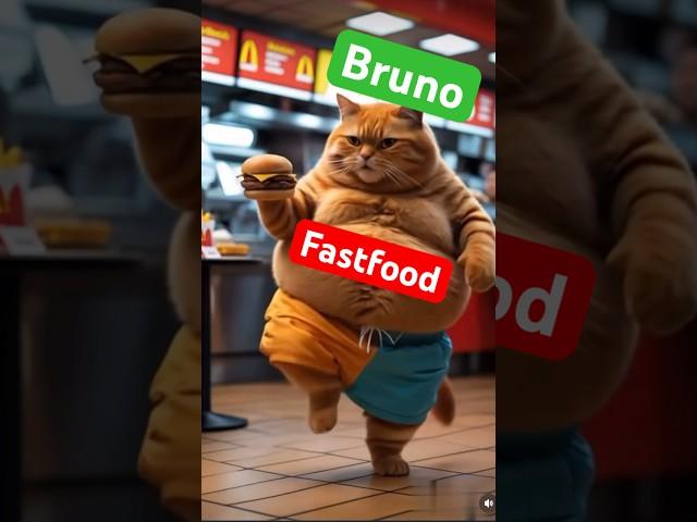 Bruno macht Yoga & Sport ‍️️‍️ – aber McDonald’s ruft!  #katze #fastfood