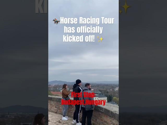 #shorts #horseracing #horse #budapest