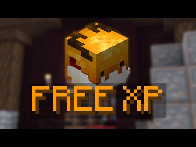 How To Get A FREE Max Level Pet | Hypixel SkyBlock