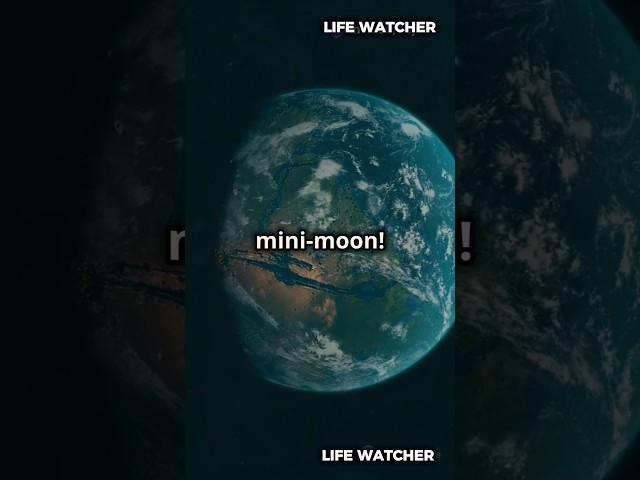 Mini moon is happening soon | LIFE WATCHER