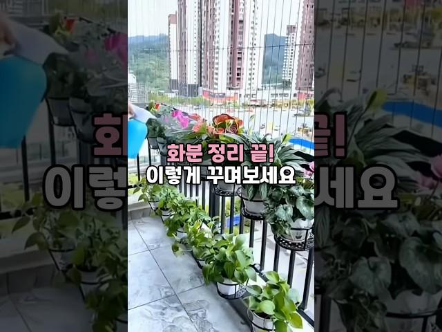 화분 정리 끝! 이렇게 꾸며보세요 #화분걸이 #화분선반
