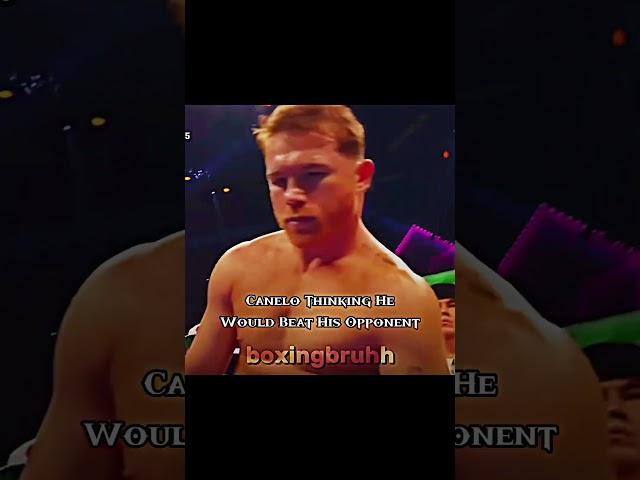 20-0 ‍ #dmitrybivol #bivol #canelo #canelobivol #boxing #shorts