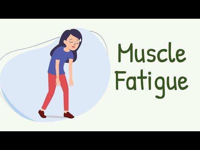 How EXACTLY do the Muscles Get Tired? Muscle Fatigue: Central Fatigue, Peripheral Fatigue