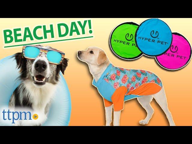 Amazon MUST-HAVES For You & Your Dog's Next Beach Day! | TTPM Pet