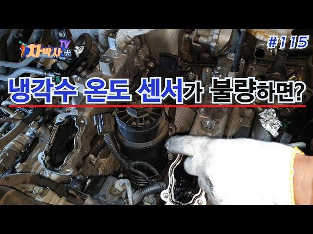 차박사TV_115회 냉각수 온도 센서가 불량하면? What if the coolant temperature sensor is bad?