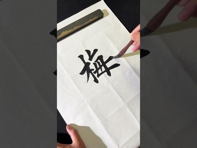 宝剑锋从磨砺出，梅花香自苦寒来！#毛笔字 #书法 #calligraphy