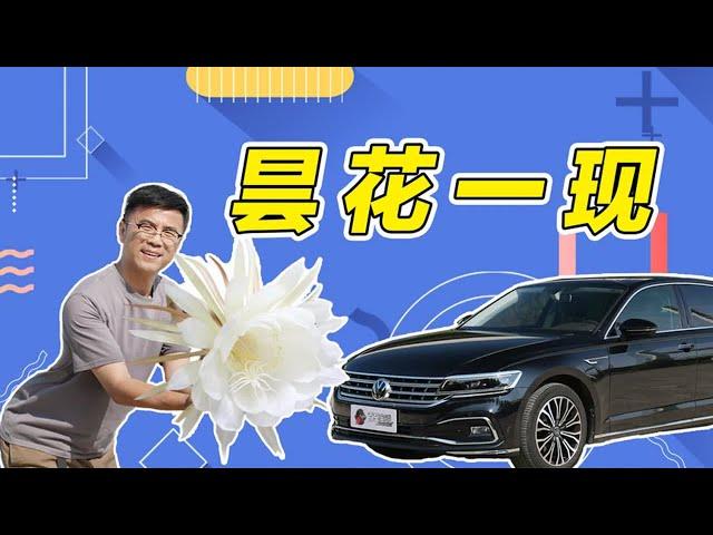 #大众辉昂，把自己玩没了！#汽车 【百车全说】