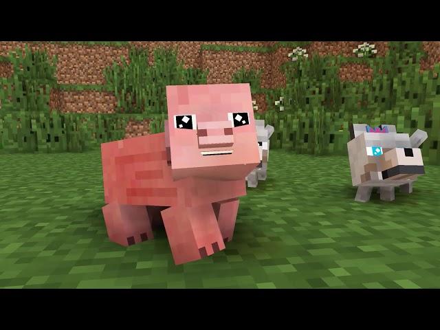 CrazyDek! Pig Life   Minecraft Animation