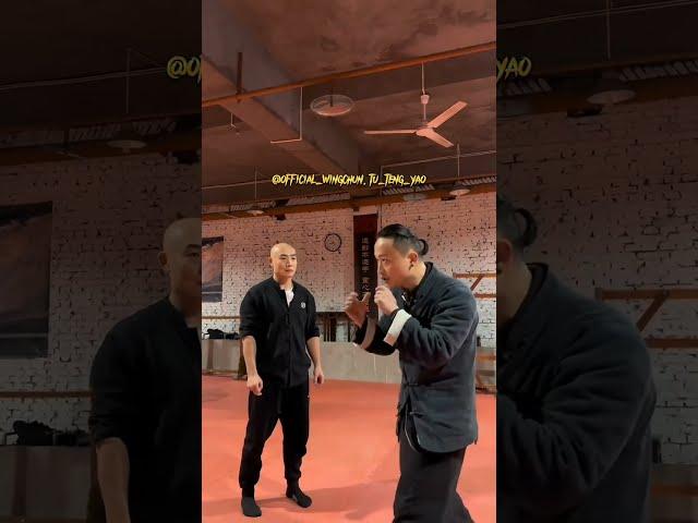 Shaolin Monk Meets Wing Chun Master Tu Tengyao : A Martial Arts Exchange of Techniques and Wisdom