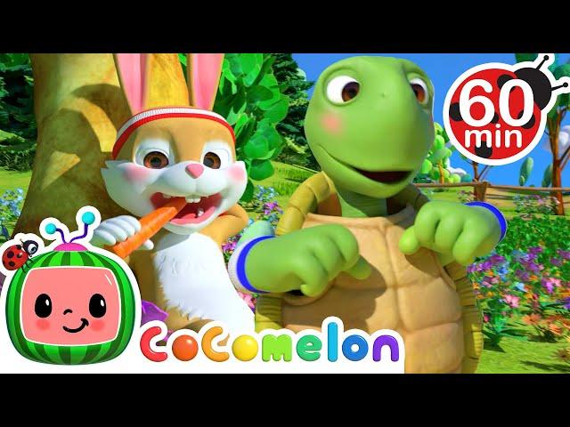 The Tortoise and the Hare + Baa Baa Black Sheep + MORE ! | @Cocomelon - Nursery Rhymes ​| Kids Songs