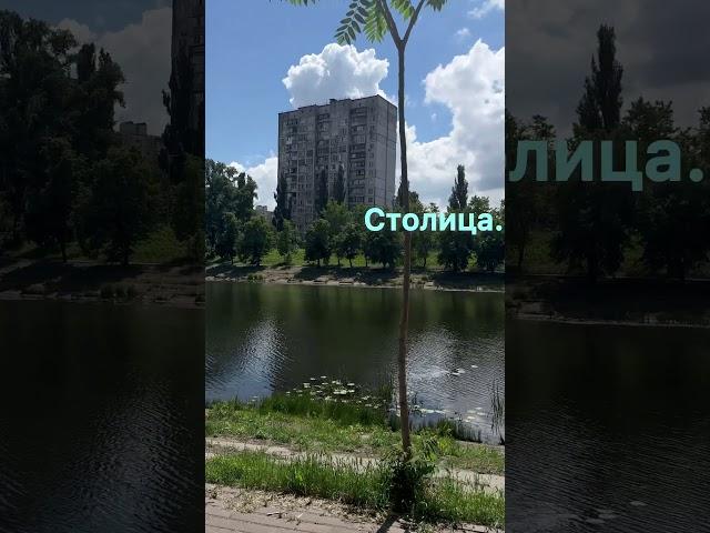 Столица.
