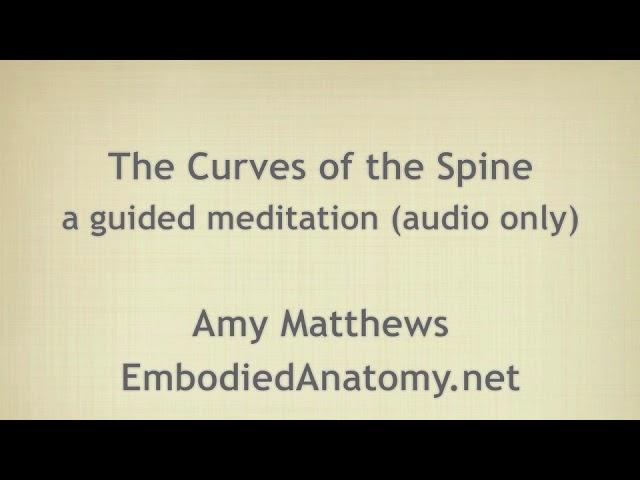 Curves of the Spine - Guided Meditation - Amy Matthews [EmbodiedAnatomy.net]