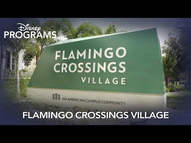 Disney Programs | Flamingo Crossings Village