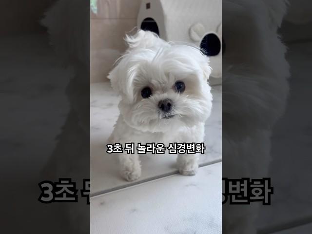 마지막까지 보세요 ㅋㅋㅋ