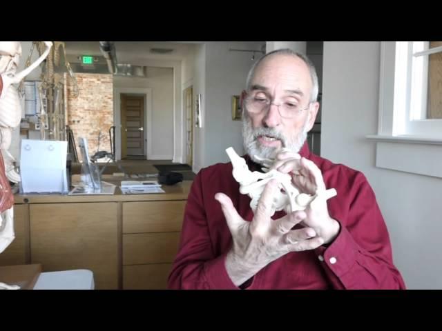 ANATOMY IN CLAY® One-On-One with Jon Zahourek: The Pelvic Floor
