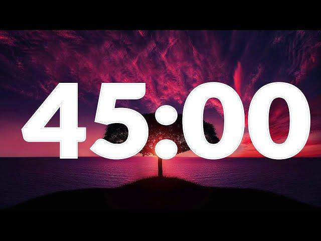 45 Minute Timer with Alarm, without music