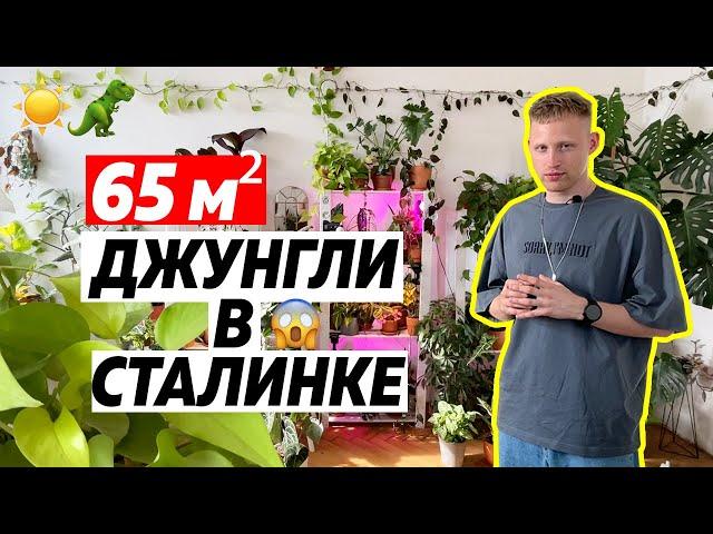 РумТур: НАСТОЯЩИЕ ДЖУНГЛИ В СТАЛИНКЕ с видом на КРЕМЛЬ. Urban Jungle трешка. Дизайн интерьера