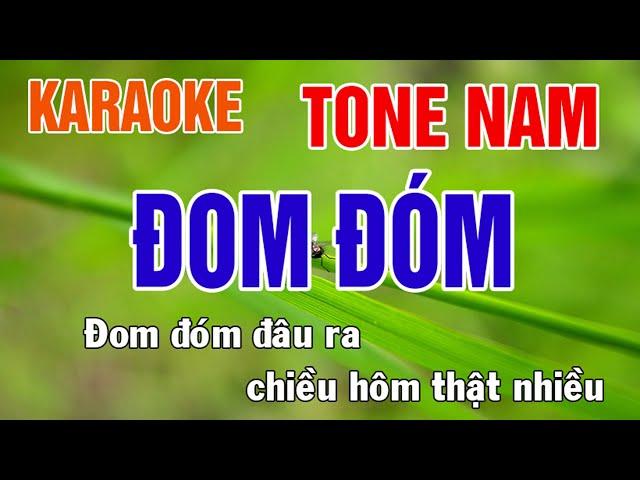 Đom Đóm Karaoke Tone Nam Nhạc Sống - Phối Mới Dễ Hát - Nhật Nguyễn