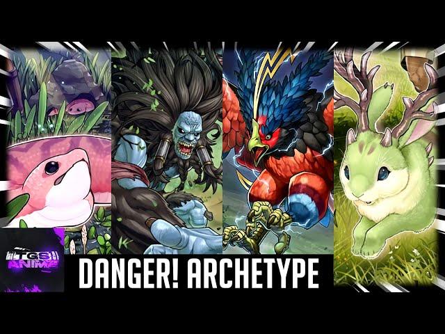 Yu-Gi-Oh! - Danger! Archetype