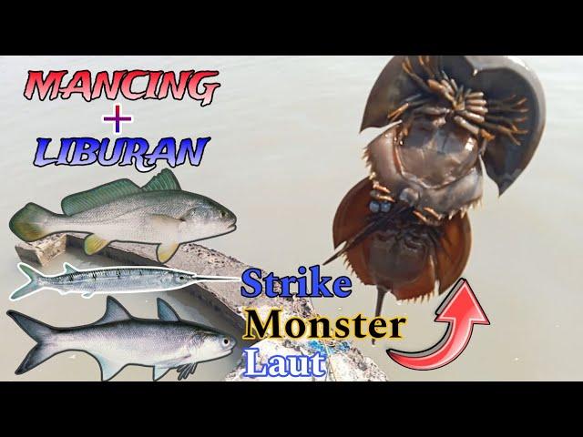 MANCING & LIBURAN..!! Mancing di Pinggiran Suramadu Strike Ikan Enak & Monster Laut