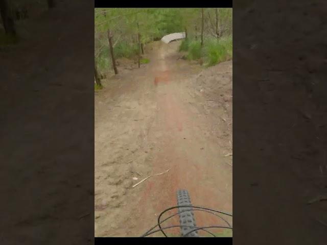 Barrel Run POV Double Black MTB track.