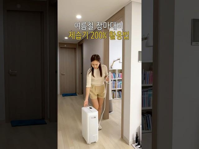 여름철 장마를 똑똑하게 대비하는 제습기 활용법 #제습기추천 #대성제습기 #콘덴싱제습기 #칸쿄제습기