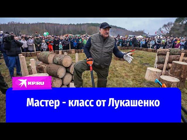 Президент Беларуси Александр Лукашенко научил свою команду  правильно колоть дрова