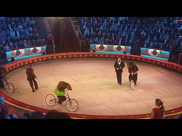 Russian Bear riding bicycle in Moscow circus