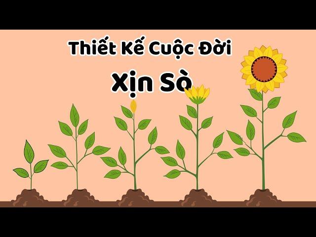 Thiết kế cuộc đời xịn sò - Tri Kỷ Cảm Xúc Web5ngay