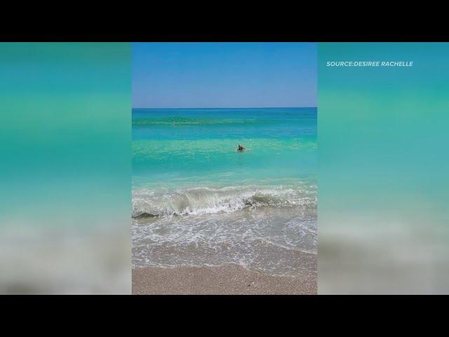 Water at Myrtle Beach bright blue due to lack of tropical storms