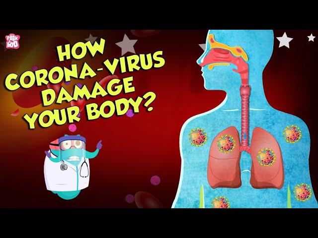 How Corona Virus Affects Your Body? | COVID-19 | The Dr Binocs Show | Peekaboo Kidz