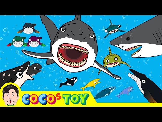 50minㅣA stories of whales and sharks adventuresㅣwhales for kidsㅣCoCosToy