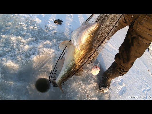 ХАПУГИ СНОВА РАДУЮТ УЛОВОМ!!! ВЫЕХАЛИ ПОСТОЯТЬ НА ХАПУГИ И НЕ ПЛОХО ПОРЫБАЧИЛИ. ЧТО ЖДАЛ ТО ПОЙМАЛ!