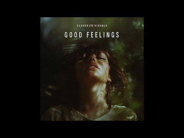 Closed Eye Visuals - Good Feelings