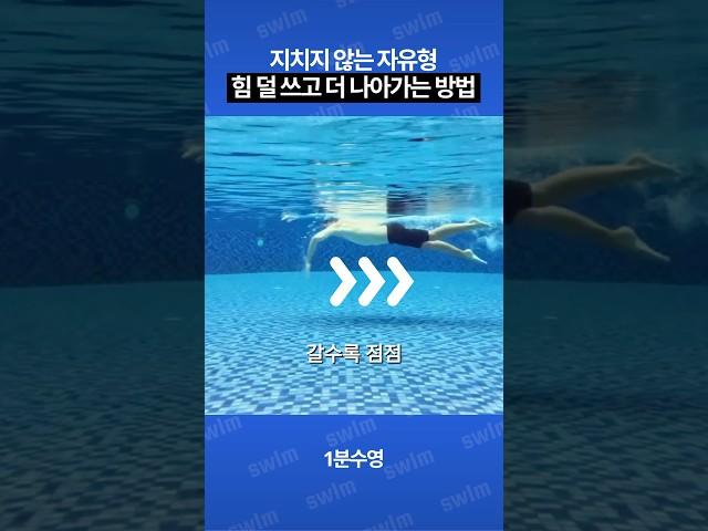 지치지 않는 자유형, 핵심은 스트로크 힘 배분‍️#수영 #자유형