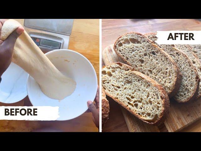 Daily Sourdough Bread with Fresh Milled Flour | Without a mixer