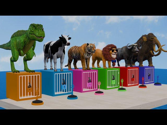 Choose the right mystery key and cage challenge with animals Cow, Tiger, Lion, Dinosaur, and Mammoth